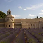 Dans Le Luberon * Céreste