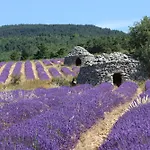 Dans Le Luberon Accommodatie bij particulieren Céreste