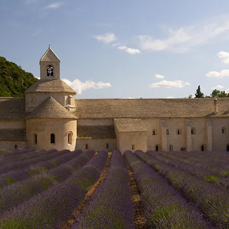 Dans Le Luberon * Céreste