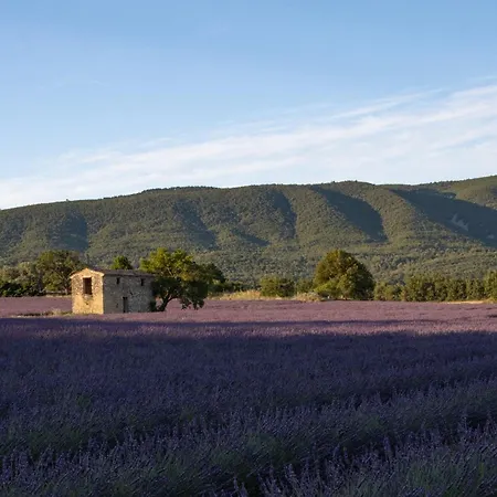 Pansiyon Dans Le Luberon *