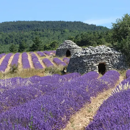 Dans Le Luberon Проживание в семье Cereste
