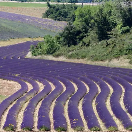 Проживание в семье Dans Le Luberon