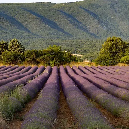 Проживание в семье Dans Le Luberon *