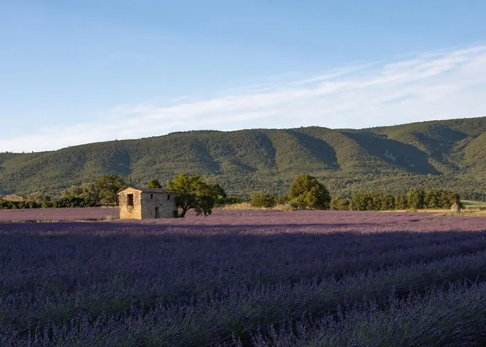 Séjour chez l'habitant Dans Le Luberon *