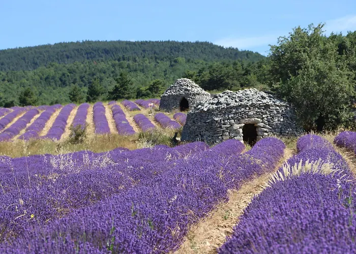 Dans Le Luberon Séjour chez l'habitant Céreste