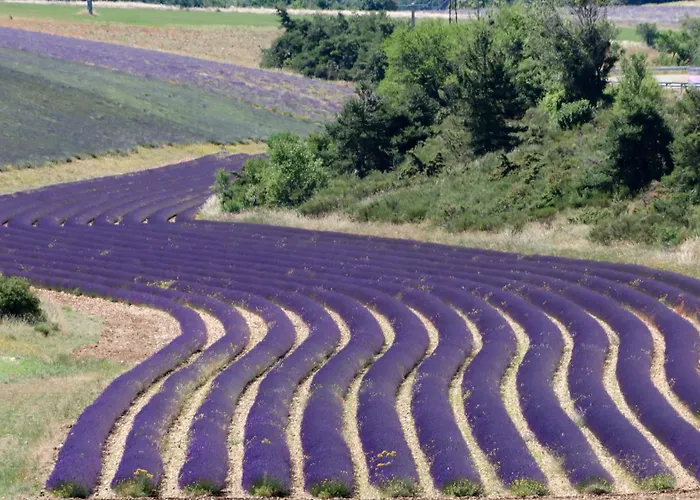 Séjour chez l'habitant Dans Le Luberon
