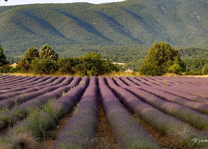 Séjour chez l'habitant Dans Le Luberon *